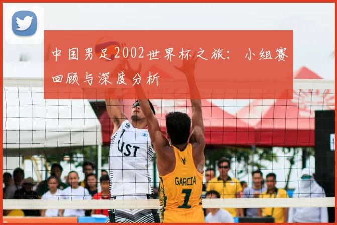 中国男足2002世界杯之旅：小组赛回顾与深度分析