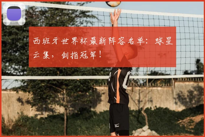 西班牙世界杯最新阵容名单：球星云集，剑指冠军！