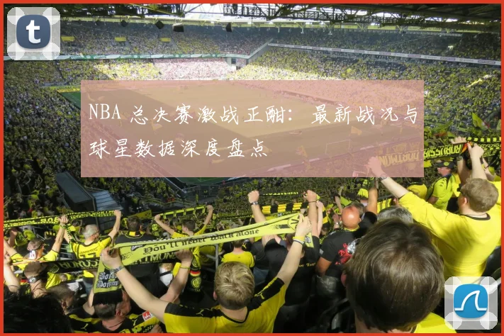 NBA 总决赛激战正酣：最新战况与球星数据深度盘点