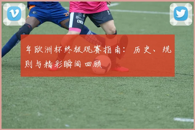 年欧洲杯终极观赛指南：历史、规则与精彩瞬间回顾